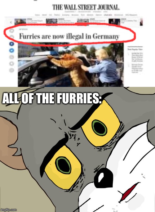 ALL OF THE FURRIES: | image tagged in memes,unsettled tom | made w/ Imgflip meme maker