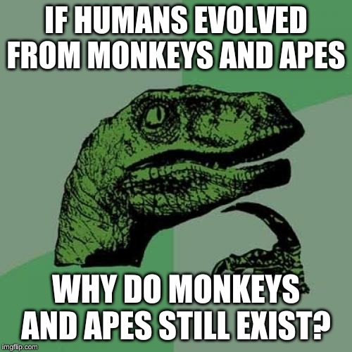 Philosoraptor Meme | IF HUMANS EVOLVED FROM MONKEYS AND APES; WHY DO MONKEYS AND APES STILL EXIST? | image tagged in memes,philosoraptor | made w/ Imgflip meme maker