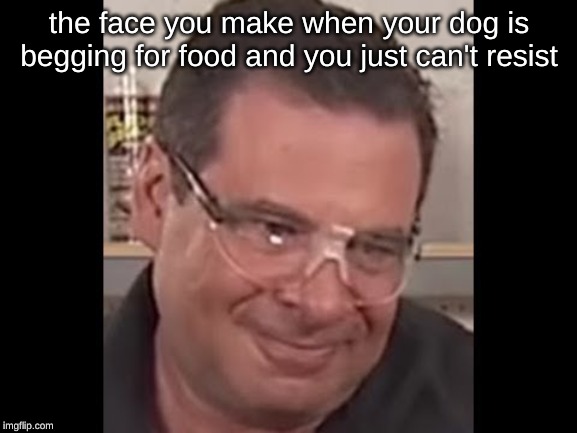 the face you make when your dog is begging for food and you just can't resist | image tagged in phil swift,memes,phil swift that's a lotta damage flex tape/seal,flex tape | made w/ Imgflip meme maker