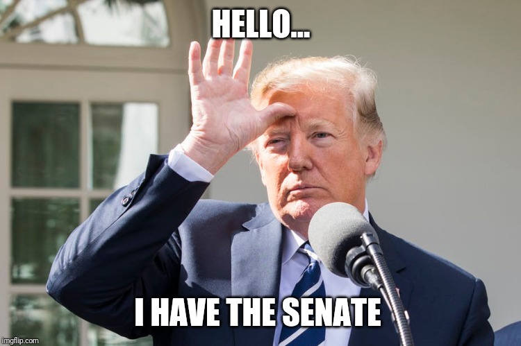 Senate | HELLO... I HAVE THE SENATE | image tagged in donald trump | made w/ Imgflip meme maker