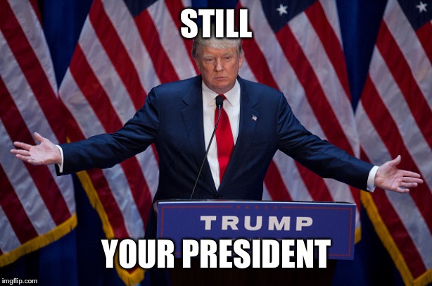 Donald Trump | STILL; YOUR PRESIDENT | image tagged in donald trump | made w/ Imgflip meme maker