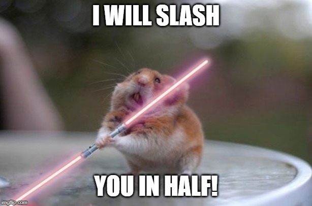 Star Wars hamster | I WILL SLASH; YOU IN HALF! | image tagged in star wars hamster | made w/ Imgflip meme maker
