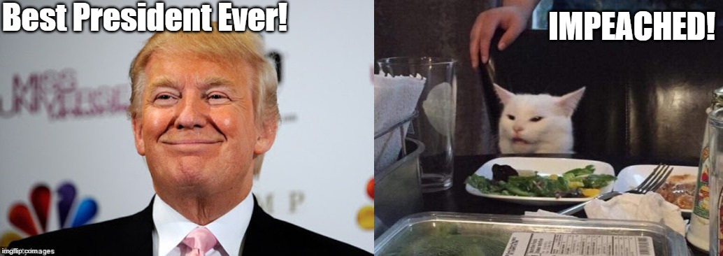Best President Ever! IMPEACHED! | image tagged in donald trump approves,salad cat | made w/ Imgflip meme maker