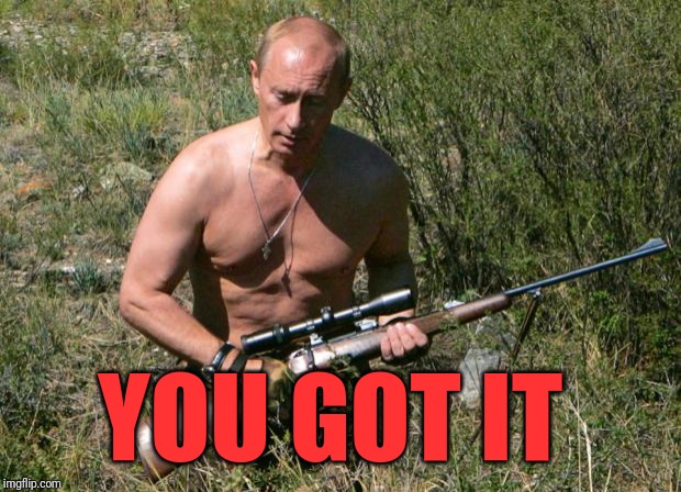 Putin Assassin | YOU GOT IT | image tagged in putin assassin | made w/ Imgflip meme maker