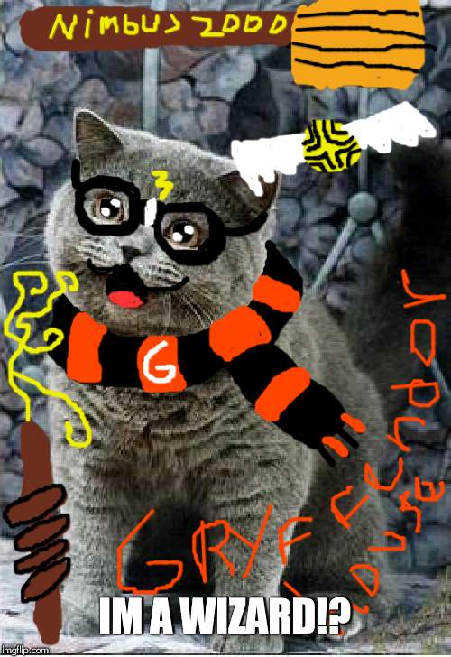 I can has cheezburger cat | IM A WIZARD!? | image tagged in i can has cheezburger cat | made w/ Imgflip meme maker