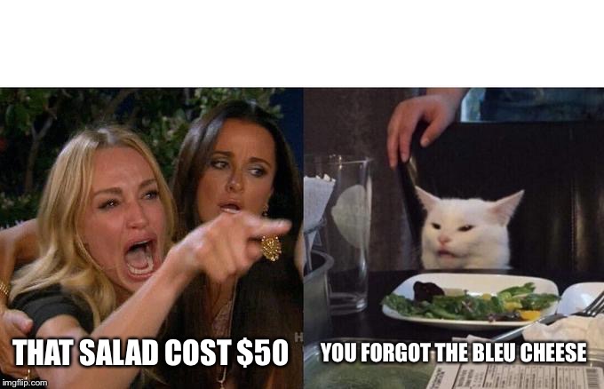 Gourmet Cat | THAT SALAD COST $50; YOU FORGOT THE BLEU CHEESE | image tagged in memes,woman yelling at cat,gourmet,food,smudge the cat | made w/ Imgflip meme maker