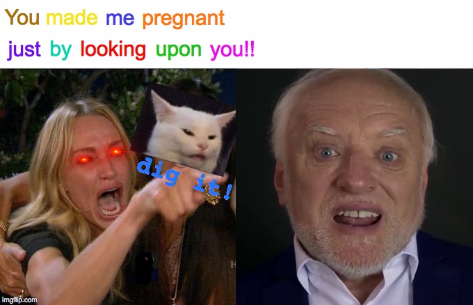 Nowhere Left To Hide Harold | You; me; pregnant; made; by; looking; upon; you!! just; dig it! | image tagged in memes,woman yelling at cat,angry lady cat,salad cat,hide the pain harold,stop it get some help | made w/ Imgflip meme maker