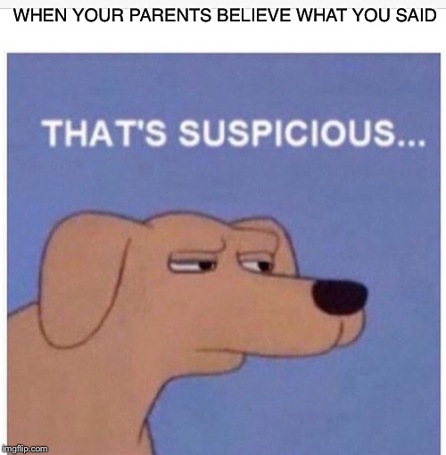 That's suspicious  | WHEN YOUR PARENTS BELIEVE WHAT YOU SAID | image tagged in that's suspicious | made w/ Imgflip meme maker