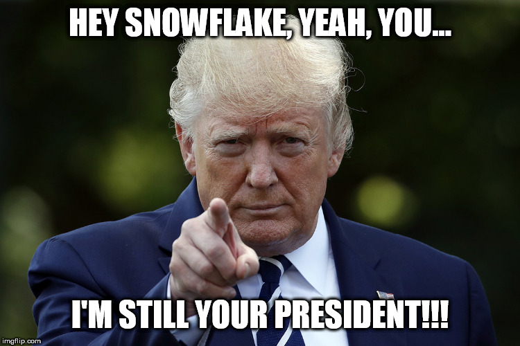 Hey snowflake | HEY SNOWFLAKE, YEAH, YOU... I'M STILL YOUR PRESIDENT!!! | image tagged in trump,donald trump,meme,republican,snowflake,democrat | made w/ Imgflip meme maker