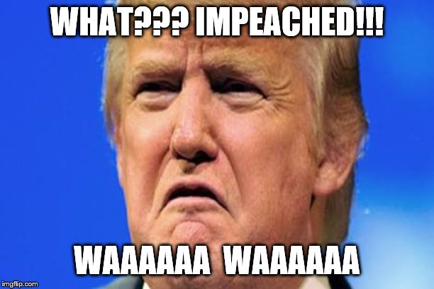 Donald trump crying | WHAT??? IMPEACHED!!! WAAAAAA  WAAAAAA | image tagged in donald trump crying | made w/ Imgflip meme maker