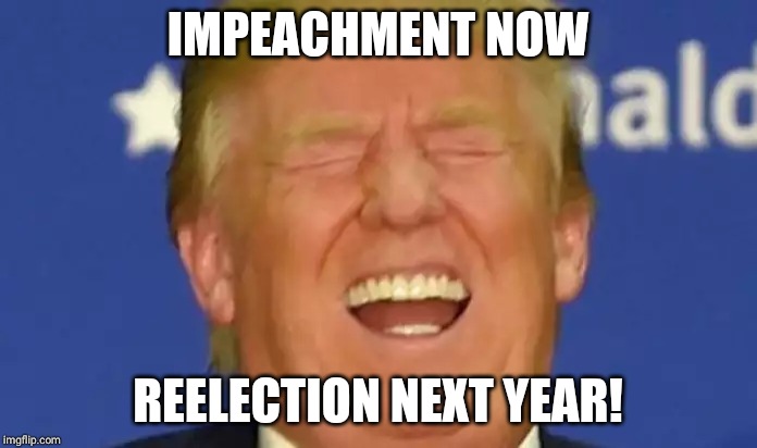 Trump laughing | IMPEACHMENT NOW; REELECTION NEXT YEAR! | image tagged in trump laughing | made w/ Imgflip meme maker