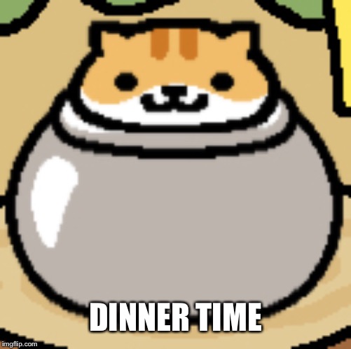 DINNER TIME | image tagged in cat,cute,dinner | made w/ Imgflip meme maker