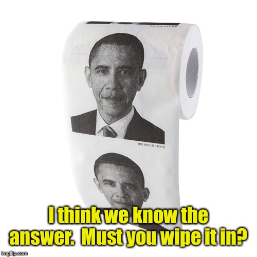 I think we know the answer.  Must you wipe it in? | made w/ Imgflip meme maker