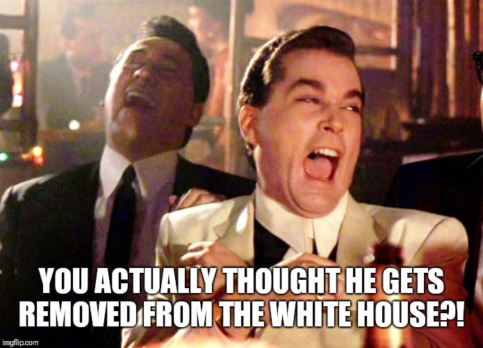 Good Fellas Hilarious | YOU ACTUALLY THOUGHT HE GETS REMOVED FROM THE WHITE HOUSE?! | image tagged in memes,good fellas hilarious | made w/ Imgflip meme maker