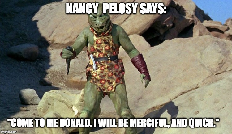 NANCY  PELOSY SAYS:; "COME TO ME DONALD. I WILL BE MERCIFUL, AND QUICK." | made w/ Imgflip meme maker