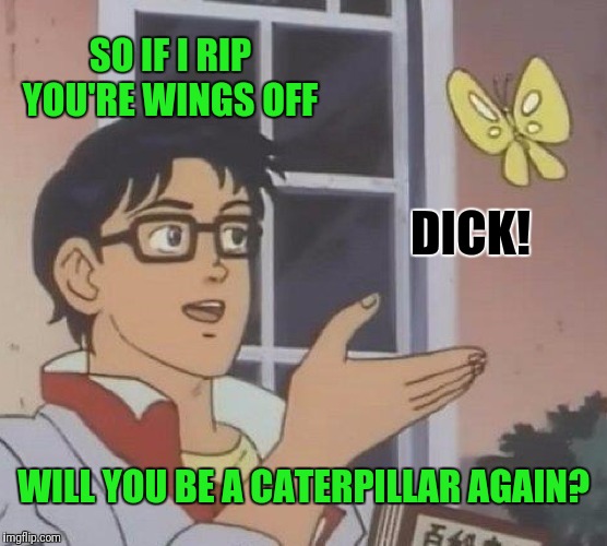 Is This A Pigeon Meme | SO IF I RIP YOU'RE WINGS OFF; DICK! WILL YOU BE A CATERPILLAR AGAIN? | image tagged in memes,is this a pigeon | made w/ Imgflip meme maker