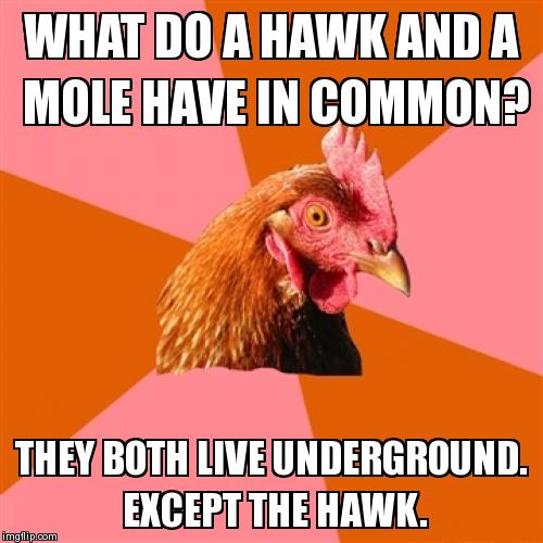 Anti Joke Chicken Meme | image tagged in memes,anti joke chicken | made w/ Imgflip meme maker