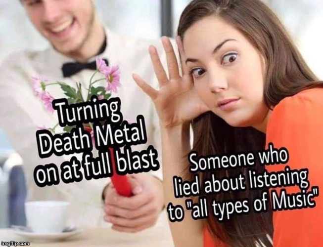 People who like all kinds of music generally hate metal, so the are liars. | image tagged in heavy metal | made w/ Imgflip meme maker