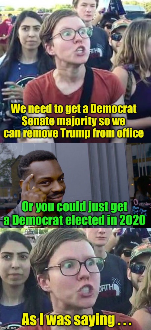Democrats know you can’t replace him at the ballot box | We need to get a Democrat Senate majority so we can remove Trump from office; Or you could just get a Democrat elected in 2020; As I was saying . . . | image tagged in triggered liberal,memes,roll safe think about it,impeach drumpf angry liberal | made w/ Imgflip meme maker