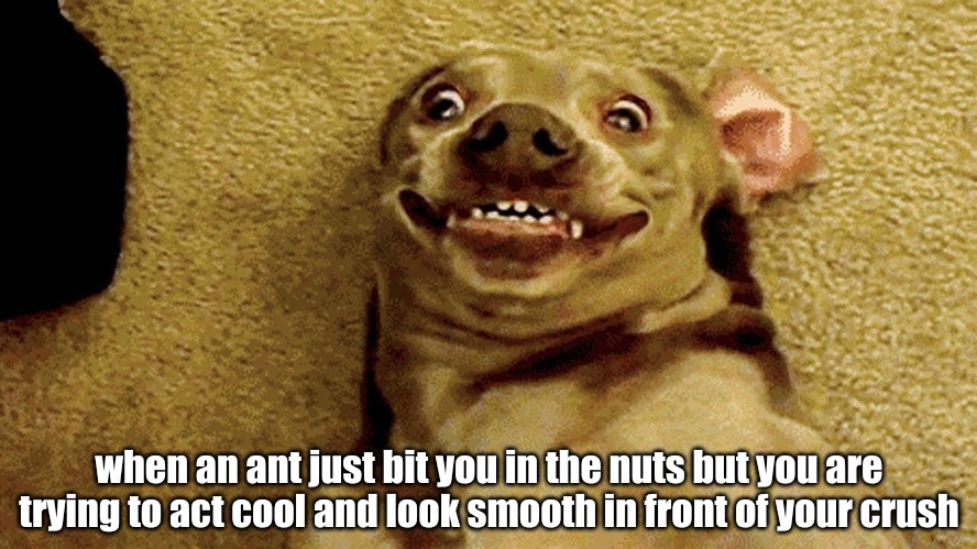 when an ant just bit you in the nuts but you are trying to act cool and look smooth in front of your crush | image tagged in memes,random | made w/ Imgflip meme maker