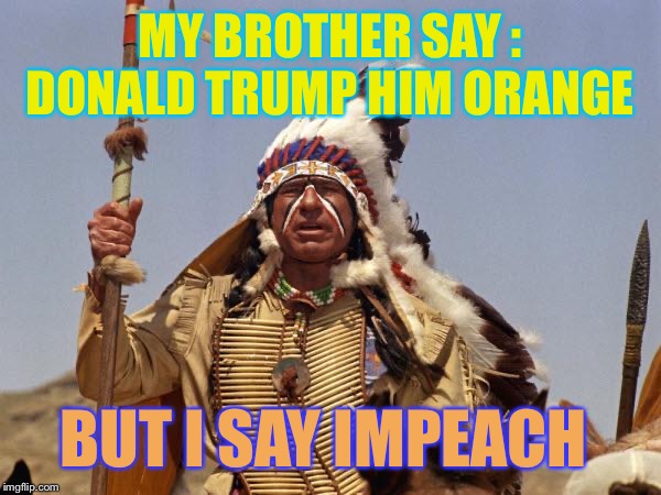 No axe (or hatchet) to grind here .. just poking fun ;-) | MY BROTHER SAY : DONALD TRUMP HIM ORANGE; BUT I SAY IMPEACH | image tagged in indian chief,trump impeachment,bad tan,american politics,breaking news | made w/ Imgflip meme maker