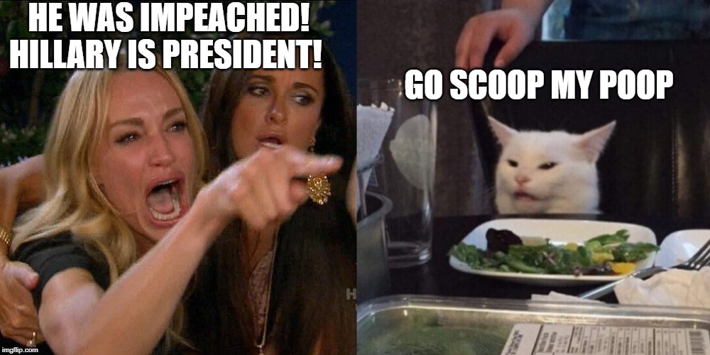 Trump Impeached, Cat Rebuttal | HE WAS IMPEACHED!
HILLARY IS PRESIDENT! GO SCOOP MY POOP | image tagged in woman yelling at cat,trump,impeach,poop | made w/ Imgflip meme maker