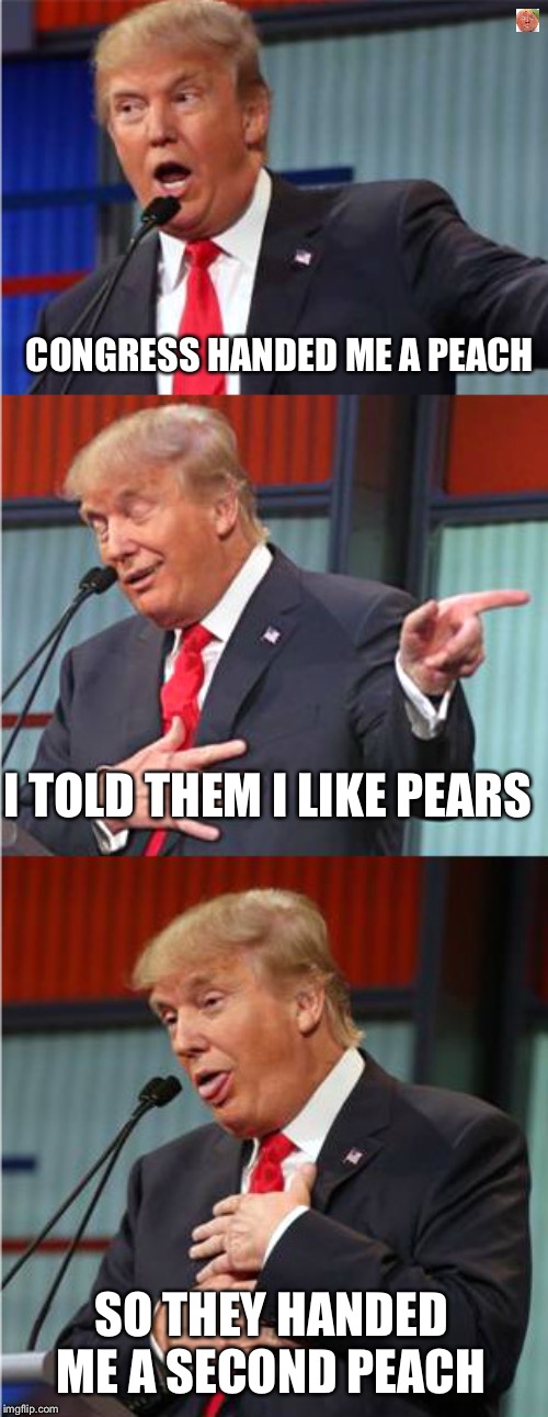 Bad Pun Trump | CONGRESS HANDED ME A PEACH; I TOLD THEM I LIKE PEARS; SO THEY HANDED ME A SECOND PEACH | image tagged in bad pun trump | made w/ Imgflip meme maker