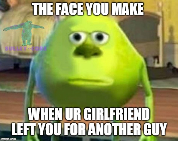 Monsters Inc | THE FACE YOU MAKE; WHEN UR GIRLFRIEND LEFT YOU FOR ANOTHER GUY | image tagged in monsters inc | made w/ Imgflip meme maker