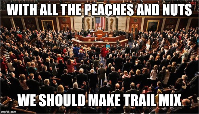 Congress | WITH ALL THE PEACHES AND NUTS; WE SHOULD MAKE TRAIL MIX | image tagged in congress | made w/ Imgflip meme maker