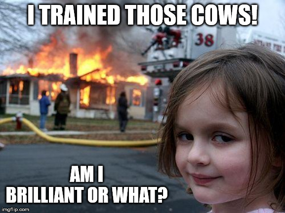 Disaster Girl Meme | I TRAINED THOSE COWS! AM I BRILLIANT OR WHAT? | image tagged in memes,disaster girl | made w/ Imgflip meme maker