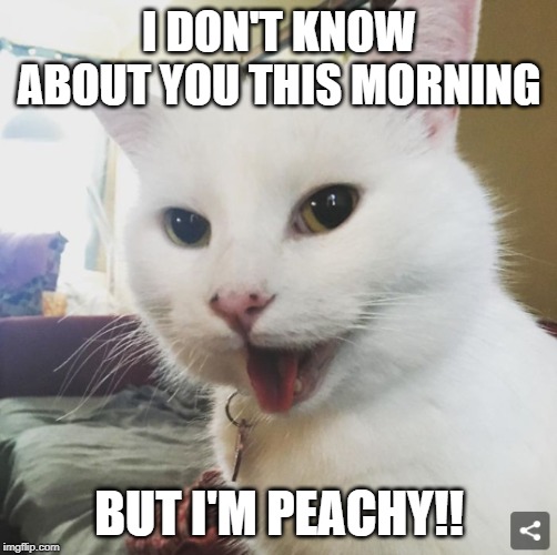Smudge | I DON'T KNOW ABOUT YOU THIS MORNING; BUT I'M PEACHY!! | image tagged in smudge | made w/ Imgflip meme maker