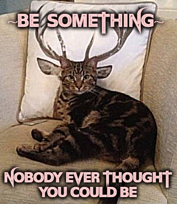 be something | ~BE  SOMETHING~; NOBODY EVER THOUGHT
YOU COULD BE | image tagged in cats are awesome,motivational | made w/ Imgflip meme maker