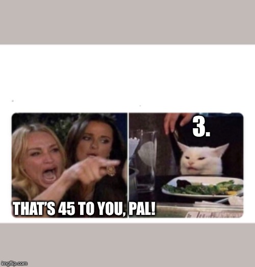 Housewives cat | 3. THAT’S 45 TO YOU, PAL! | image tagged in housewives cat | made w/ Imgflip meme maker