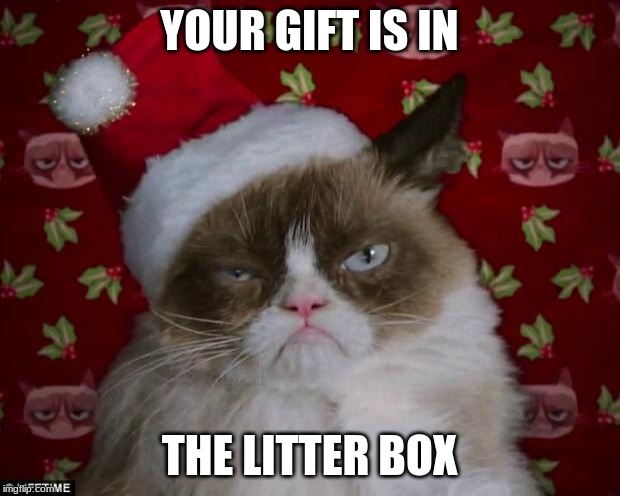 Grumpy Cat Christmas | YOUR GIFT IS IN; THE LITTER BOX | image tagged in grumpy cat christmas | made w/ Imgflip meme maker