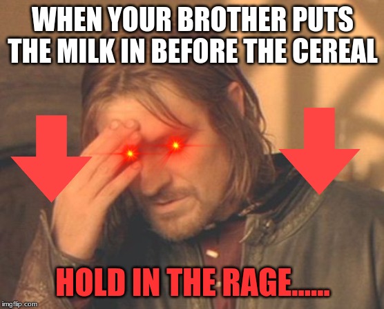 Frustrated Boromir Meme | WHEN YOUR BROTHER PUTS THE MILK IN BEFORE THE CEREAL; HOLD IN THE RAGE...... | image tagged in memes,frustrated boromir | made w/ Imgflip meme maker