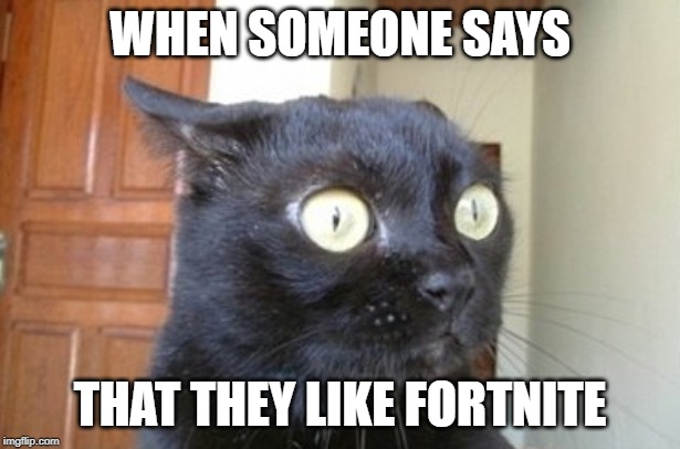 What has been seen cat | WHEN SOMEONE SAYS; THAT THEY LIKE FORTNITE | image tagged in what has been seen cat | made w/ Imgflip meme maker