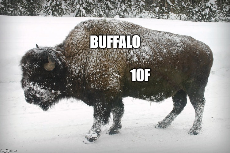 Buffalo, NY | BUFFALO; 10F | image tagged in winter is here | made w/ Imgflip meme maker