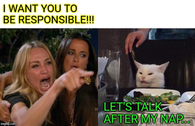 Woman Yelling At Cat | I WANT YOU TO BE RESPONSIBLE!!! LET'S TALK AFTER MY NAP... | image tagged in memes,woman yelling at cat | made w/ Imgflip meme maker