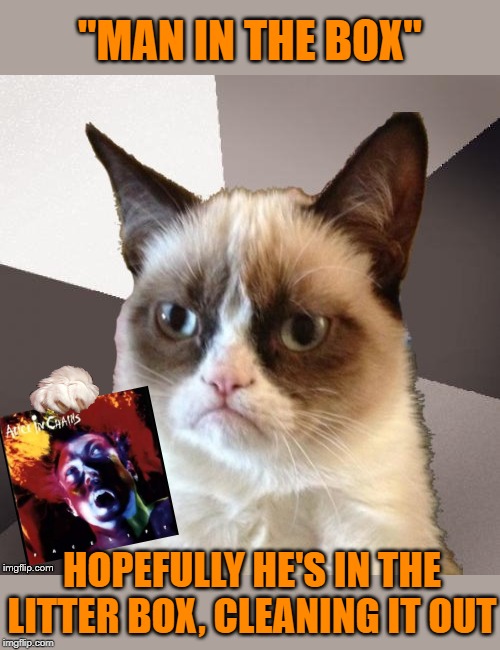 Musically Malicious Grumpy Cat | "MAN IN THE BOX"; HOPEFULLY HE'S IN THE LITTER BOX, CLEANING IT OUT | image tagged in musically malicious grumpy cat,grumpy cat,memes,alice in chains,cat,rock music | made w/ Imgflip meme maker