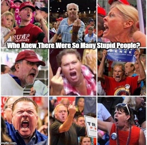 Who Knew There Were So Many Stupid People? | made w/ Imgflip meme maker