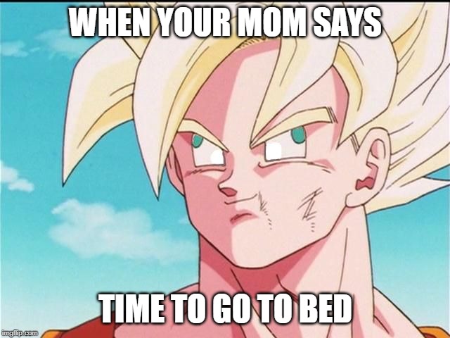 Goku Derp Face | WHEN YOUR MOM SAYS; TIME TO GO TO BED | image tagged in goku derp face | made w/ Imgflip meme maker