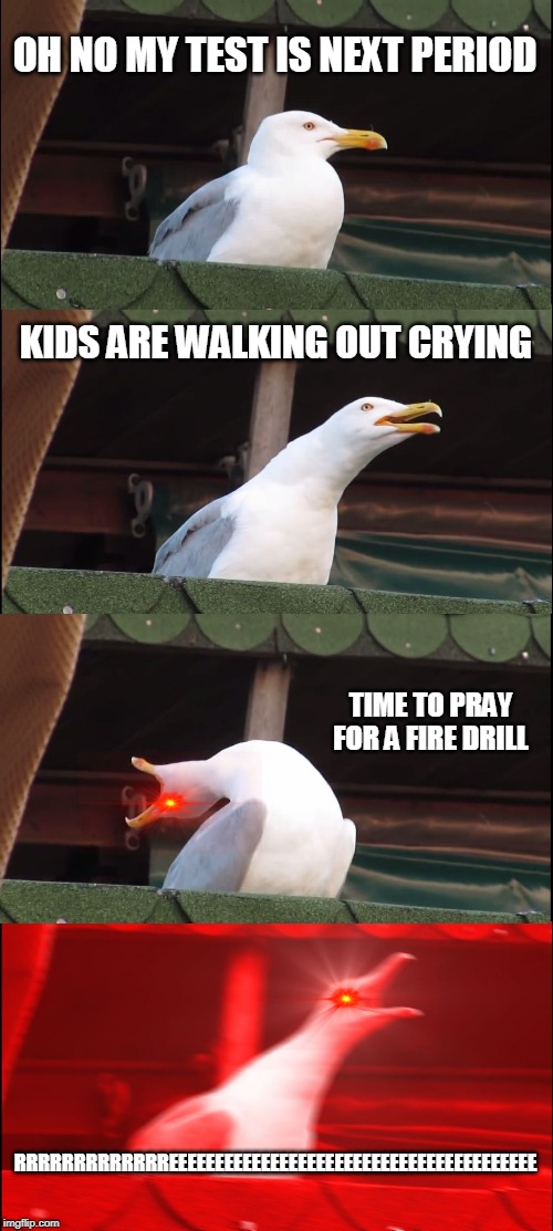 le me before every test | OH NO MY TEST IS NEXT PERIOD; KIDS ARE WALKING OUT CRYING; TIME TO PRAY FOR A FIRE DRILL; RRRRRRRRRRRRREEEEEEEEEEEEEEEEEEEEEEEEEEEEEEEEEEEEEEEE | image tagged in memes,inhaling seagull | made w/ Imgflip meme maker