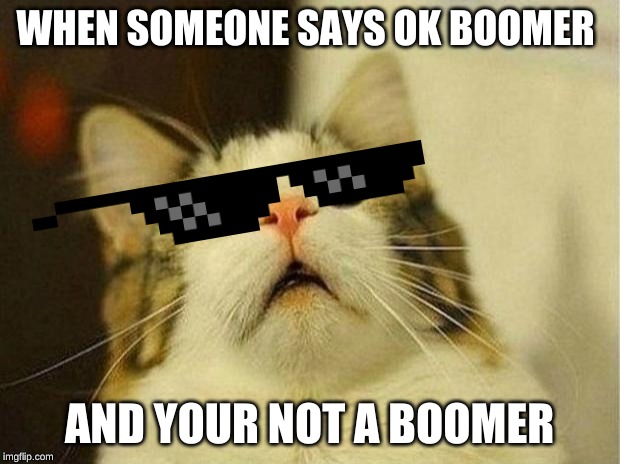 Scared Cat Meme | WHEN SOMEONE SAYS OK BOOMER; AND YOUR NOT A BOOMER | image tagged in memes,scared cat | made w/ Imgflip meme maker