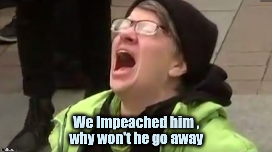 Screaming Liberal  | We Impeached him ,
why won't he go away | image tagged in screaming liberal | made w/ Imgflip meme maker