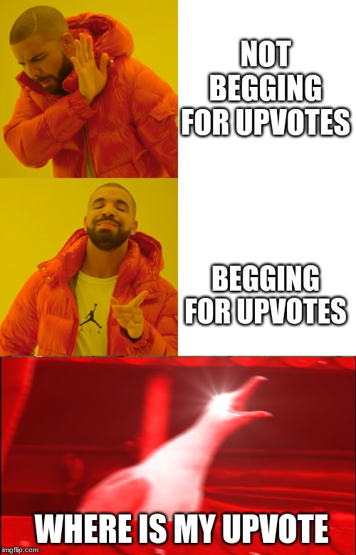 NOT BEGGING FOR UPVOTES; BEGGING FOR UPVOTES; WHERE IS MY UPVOTE | image tagged in memes,inhaling seagull,drake hotline bling | made w/ Imgflip meme maker