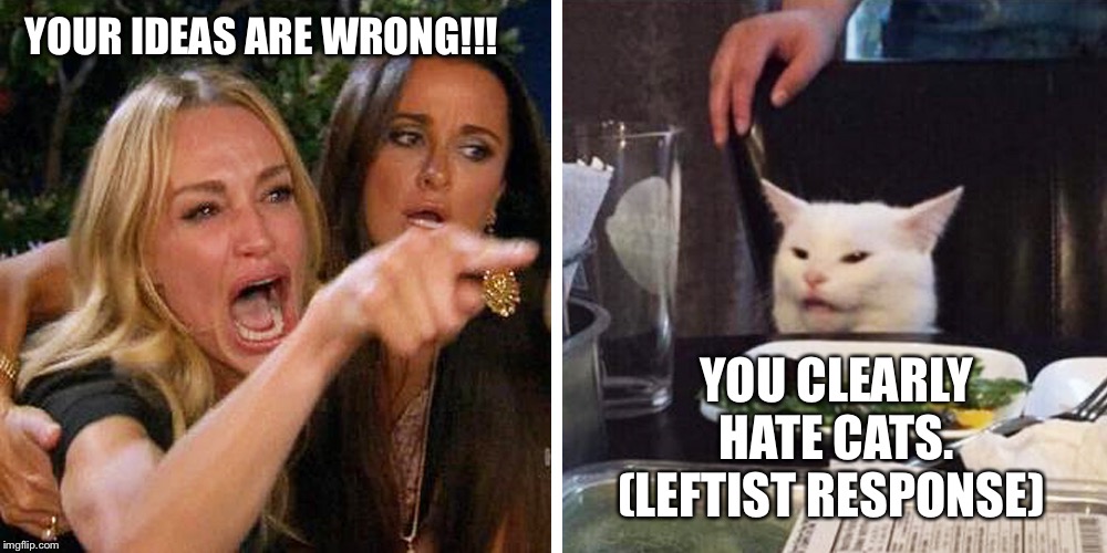 YOUR IDEAS ARE WRONG!!! YOU CLEARLY HATE CATS. (LEFTIST RESPONSE) | image tagged in political meme,politics,donald trump,trump,leftists | made w/ Imgflip meme maker