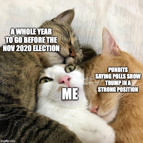 Cat surrounded by cats | A WHOLE YEAR TO GO BEFORE THE NOV 2020 ELECTION; PUNDITS SAYING POLLS SHOW TRUMP IN A STRONG POSITION; ME | image tagged in cat surrounded by cats | made w/ Imgflip meme maker
