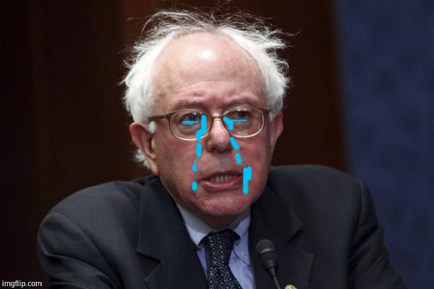 Bernie Sanders | image tagged in bernie sanders | made w/ Imgflip meme maker