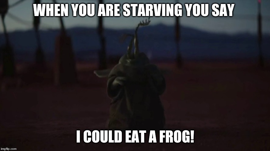 froggert | WHEN YOU ARE STARVING YOU SAY; I COULD EAT A FROG! | image tagged in baby yoda cry | made w/ Imgflip meme maker