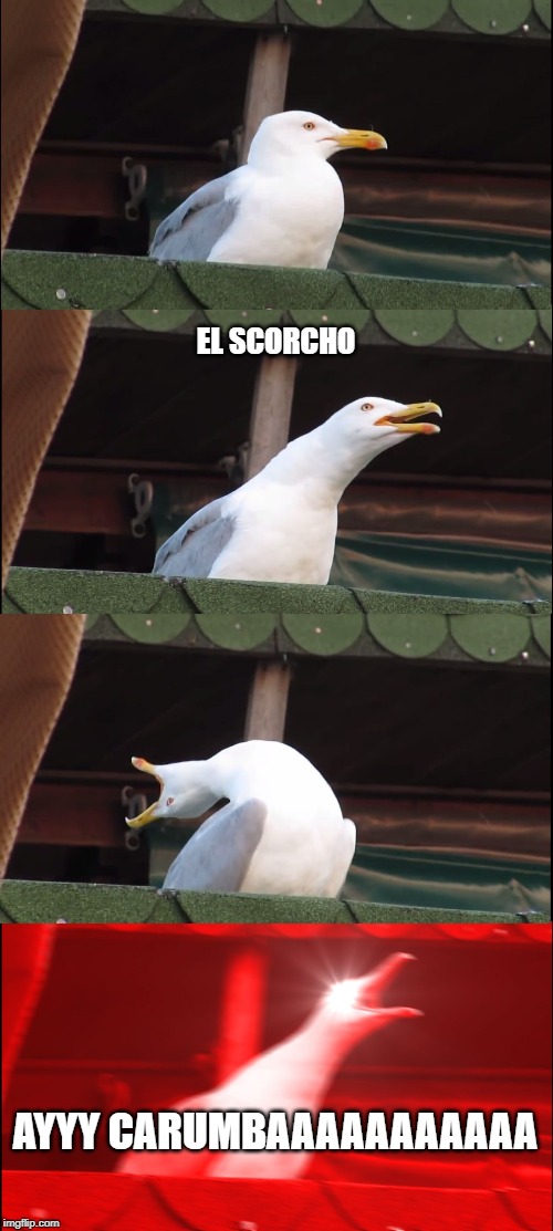 Inhaling Seagull Meme | EL SCORCHO; AYYY CARUMBAAAAAAAAAAA | image tagged in memes,inhaling seagull | made w/ Imgflip meme maker